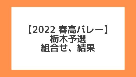 栃木 2022春高予選｜第74回全日本バレー高校選手権 結果、組合せ、大会要項
